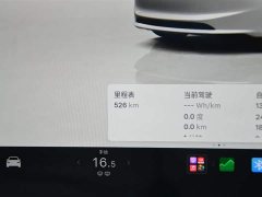 Tesla Model 3 Rear-Wheel Drive - ფოტო 6