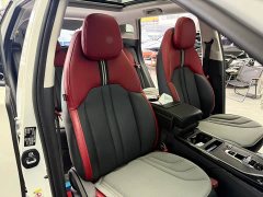 GAC Aion GS4 270T Automatic Smart Navigation Edition - ფოტო 13