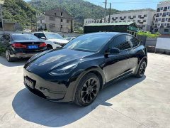 Tesla Model Y Rear-Wheel Drive - ფოტო 1