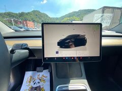 Tesla Model Y Rear-Wheel Drive - ფოტო 9