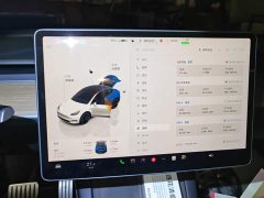 Tesla Model Y 2021 Performance All-Wheel Drive - ფოტო 14