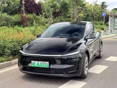Tesla Model Y L Long Range All-Wheel Drive - ფოტო 2