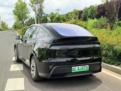 Tesla Model Y L Long Range All-Wheel Drive - ფოტო 4