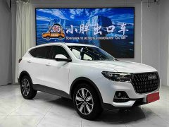 Haval H6 National Trend Edition 1.5T Automatic Champion Version - ფოტო 3