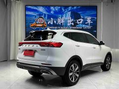 Haval H6 National Trend Edition 1.5T Automatic Champion Version - ფოტო 4