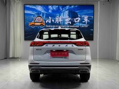 Haval H6 National Trend Edition 1.5T Automatic Champion Version - ფოტო 5
