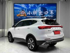 Haval H6 National Trend Edition 1.5T Automatic Champion Version - ფოტო 6
