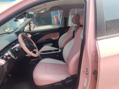 Neta V 2022 Tide 400 Lite Pink Custom Edition - ფოტო 17