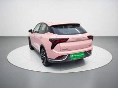 Neta V 2022 Tide 400 Lite Pink Custom Edition - ფოტო 5