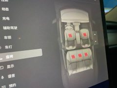 Tesla Model 3 2022 Rear-Wheel Drive - ფოტო 10