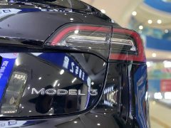 Tesla Model 3 2022 Rear-Wheel Drive - ფოტო 16
