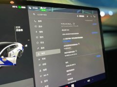 Tesla Model 3 2022 Rear-Wheel Drive - ფოტო 9