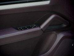 Porsche 2024 Cayenne 3.0T - ფოტო 11