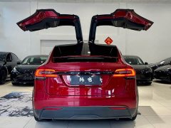 Tesla Model X Dual Motor All-Wheel Drive - ფოტო 17