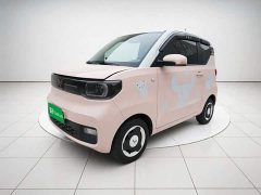 BMW Hongguang MINIEV Macaron Premium Edition Ternary Lithium - ფოტო 1