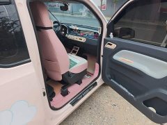 BMW Hongguang MINIEV Macaron Premium Edition Ternary Lithium - ფოტო 19