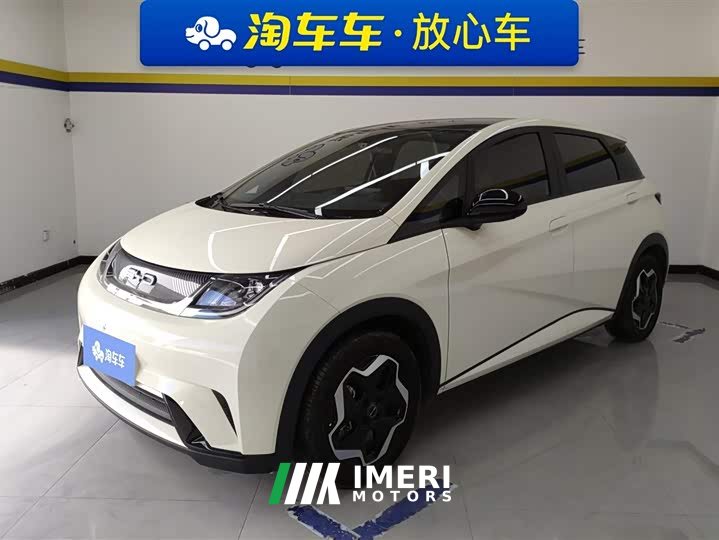 BYD Dolphin 405km Fashion Edition - ავტომობილი ჩინეთიდან