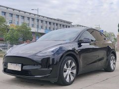 Tesla Model Y Long Range All-Wheel Drive - ფოტო 1