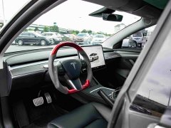 Tesla Model 3 Performance All-Wheel Drive - ფოტო 10