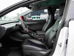 Tesla Model 3 Performance All-Wheel Drive - ფოტო 12