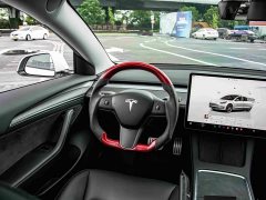 Tesla Model 3 Performance All-Wheel Drive - ფოტო 19