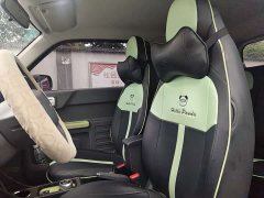 Geely Panda 2023 Panda Mini 200km Endurance Edition - ფოტო 13