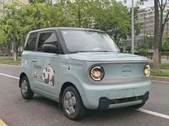 Geely Panda 2023 Panda Mini 200km Endurance Edition - ფოტო 3