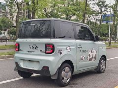 Geely Panda 2023 Panda Mini 200km Endurance Edition - ფოტო 5