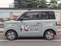 Geely Panda 2023 Panda Mini 200km Endurance Edition - ფოტო 6
