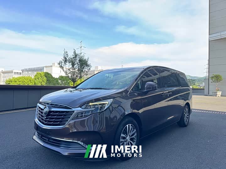 Buick GL8 ES Luxe 653T Comfort