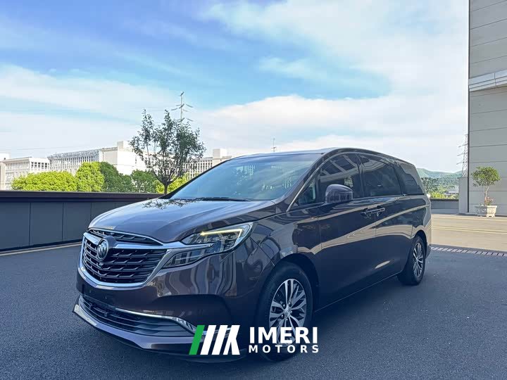 Buick GL8 ES Luxe 653T Comfort