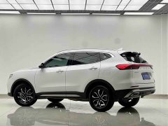 Haval H6 2021 1.5T Automatic Urban Edition - ფოტო 6
