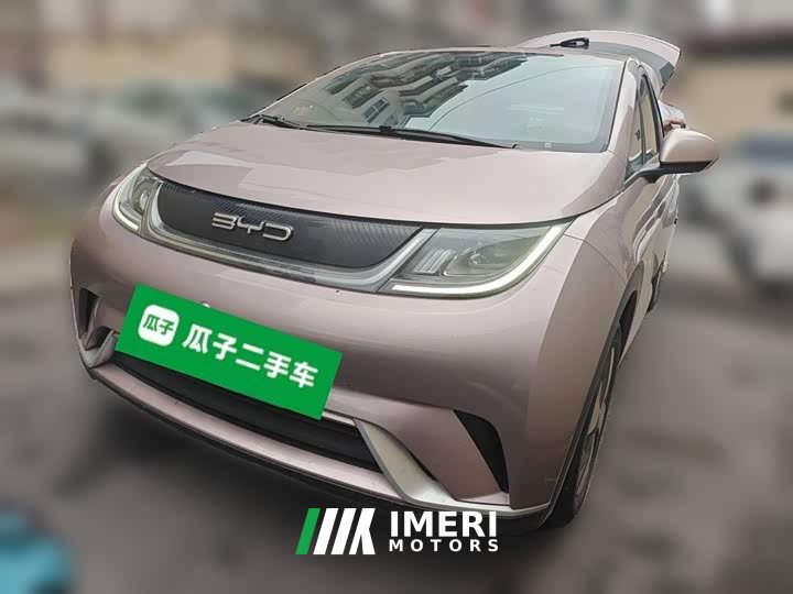 BYD Dolphin 2023 420km Freedom Edition - ავტომობილი ჩინეთიდან