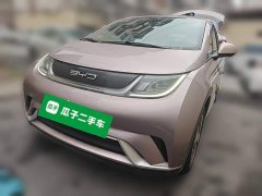 BYD Dolphin 2023 420km Freedom Edition - ფოტო 1