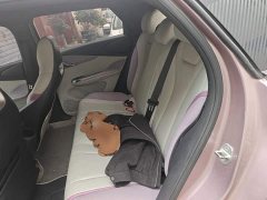 BYD Dolphin 2023 420km Freedom Edition - ფოტო 13