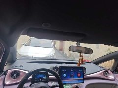 BYD Dolphin 2023 420km Freedom Edition - ფოტო 14