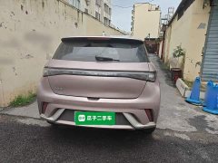 BYD Dolphin 2023 420km Freedom Edition - ფოტო 3