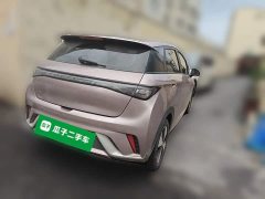 BYD Dolphin 2023 420km Freedom Edition - ფოტო 4