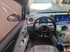 BYD Dolphin 2023 420km Freedom Edition - ფოტო 6