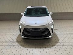 Buick GL8 Luzun Respect Edition - ფოტო 3