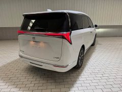 Buick GL8 Luzun Respect Edition - ფოტო 5