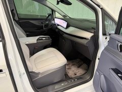 Buick GL8 Luzun Respect Edition - ფოტო 9