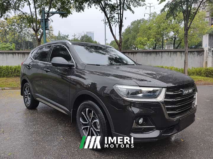 Haval H6 2021 National Trend Edition 1.5T Automatic Urban Version - ავტომობილი ჩინეთიდან