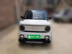 Geely Panda 2025 210km Panda Kart - ფოტო 2