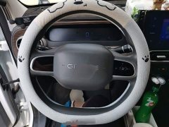 Geely Panda 2025 210km Panda Kart - ფოტო 6