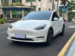 Tesla Model Y Long Range All-Wheel Drive - ფოტო 1