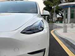 Tesla Model Y Long Range All-Wheel Drive - ფოტო 15