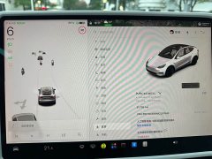 Tesla Model Y Long Range All-Wheel Drive - ფოტო 17