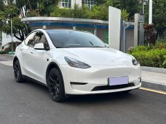 Tesla Model Y Long Range All-Wheel Drive - ფოტო 3