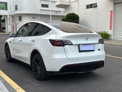 Tesla Model Y Long Range All-Wheel Drive - ფოტო 4